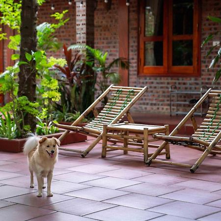 Tam Family Homestay Ninh Binh Eksteriør bilde