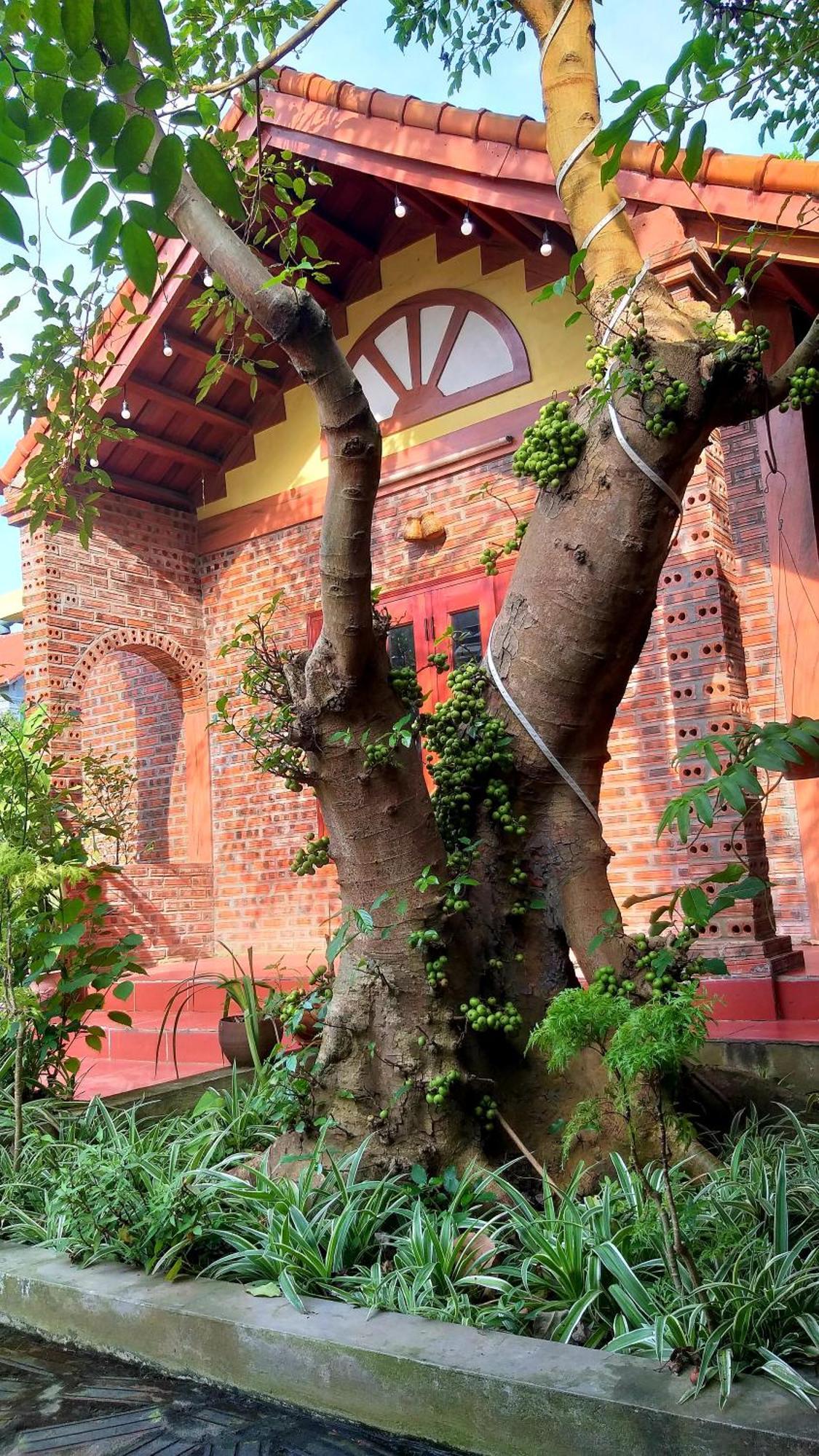 Tam Family Homestay Ninh Binh Eksteriør bilde