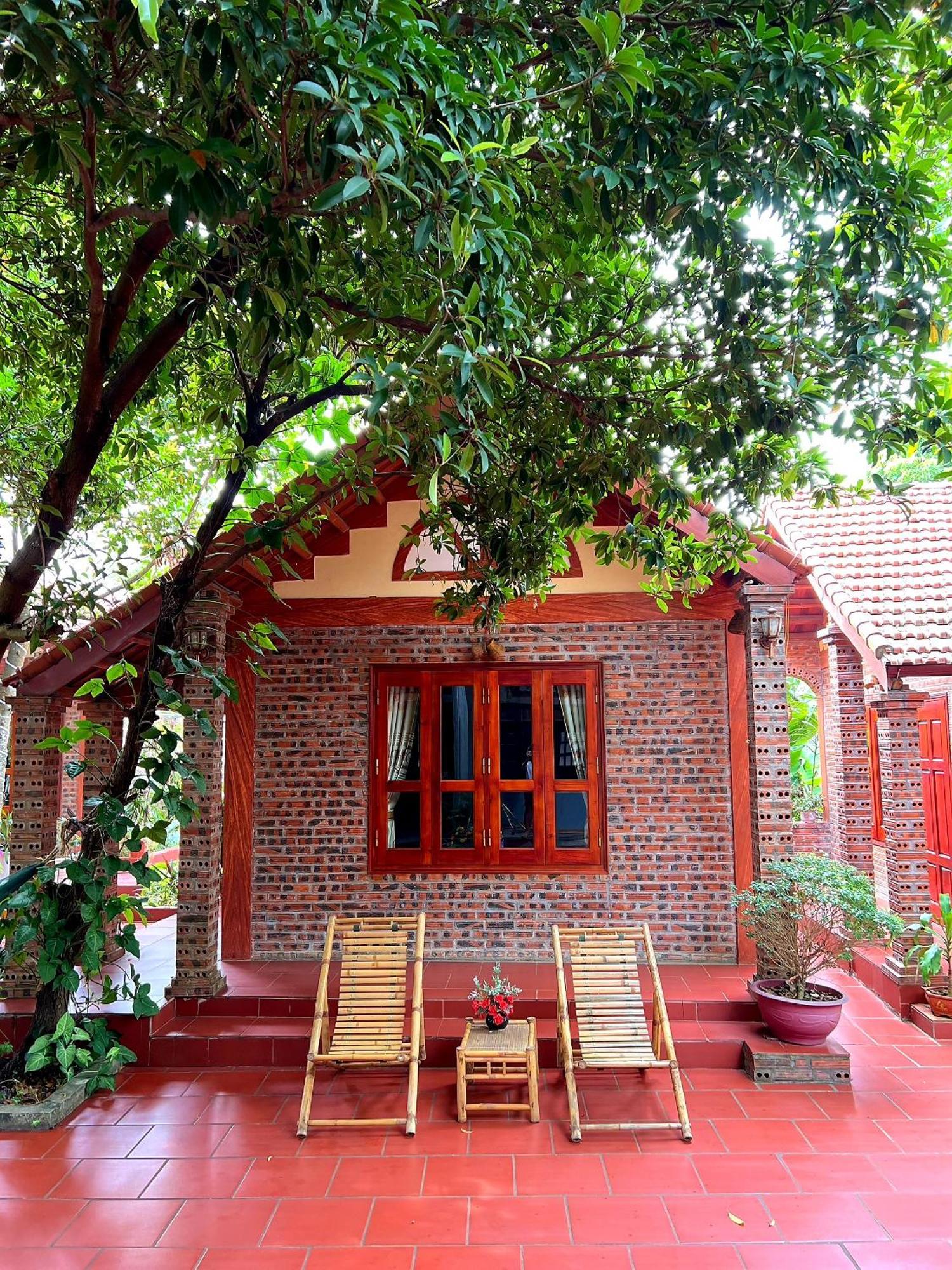 Tam Family Homestay Ninh Binh Eksteriør bilde