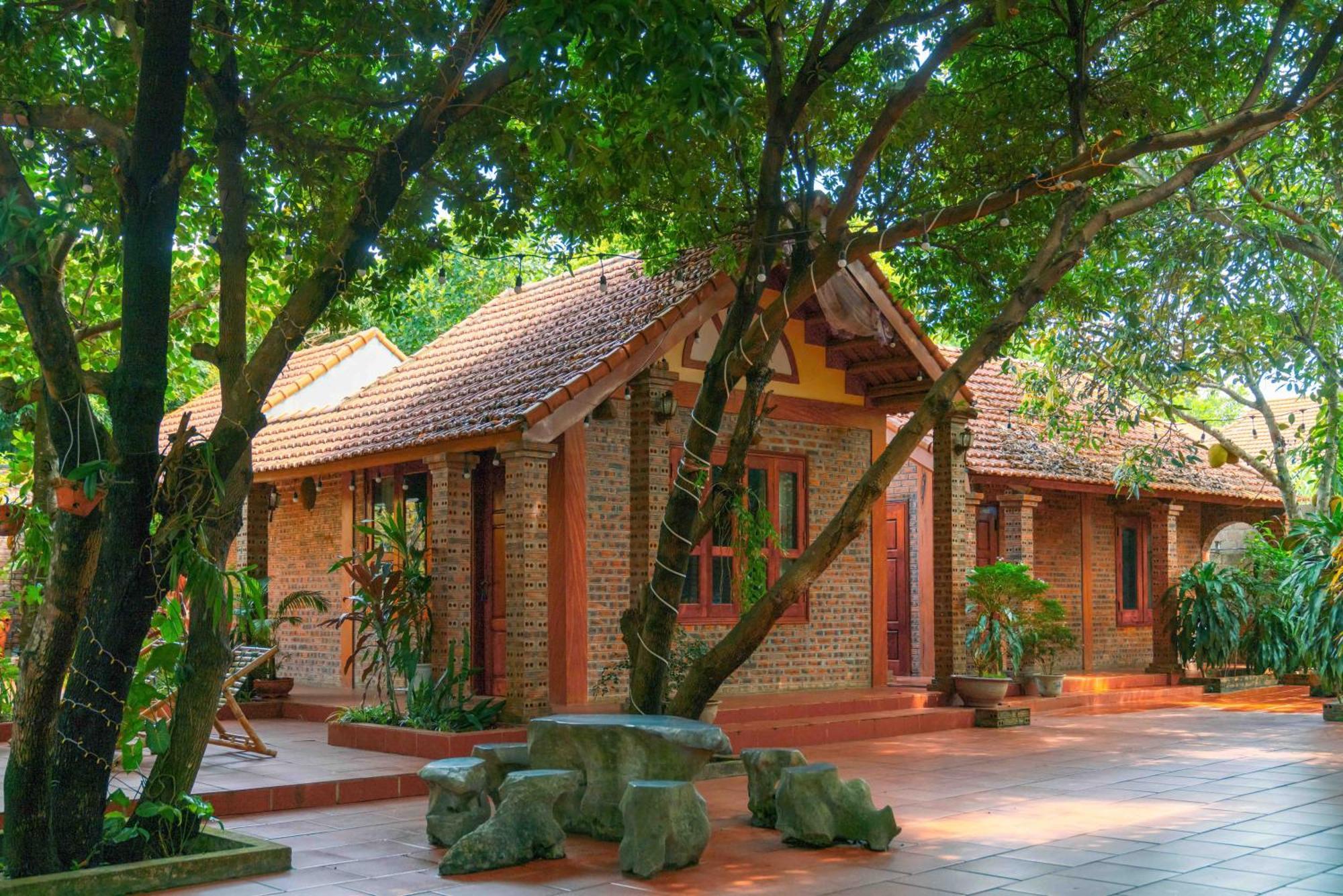 Tam Family Homestay Ninh Binh Eksteriør bilde